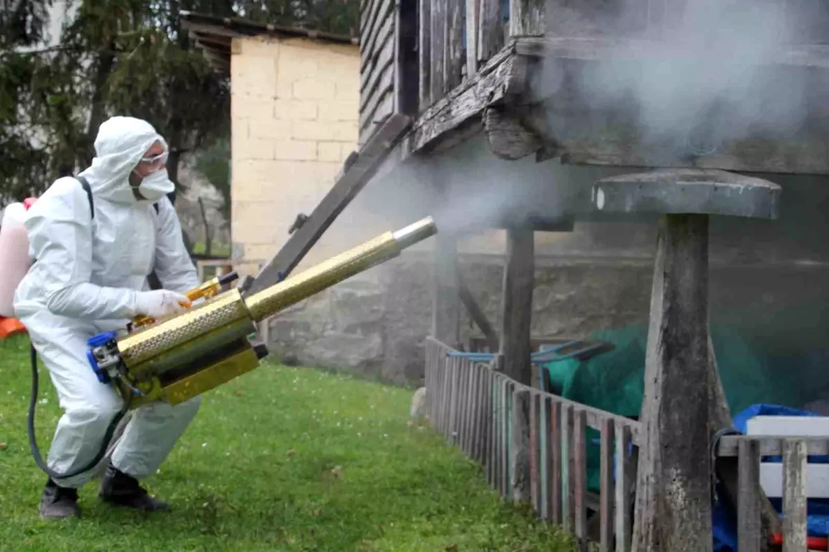 Ordu’da Kahverengi Kokarca Mücadelesi: 2025‑2026 Planı ve İlk Başarılar