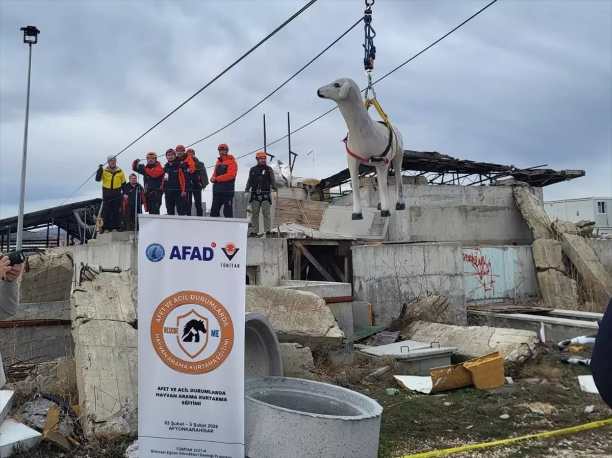 AFAD ve İspanya’nın Ortaklığıyla Hayvanları Afetlerden Korumak İçin Yeni Proje