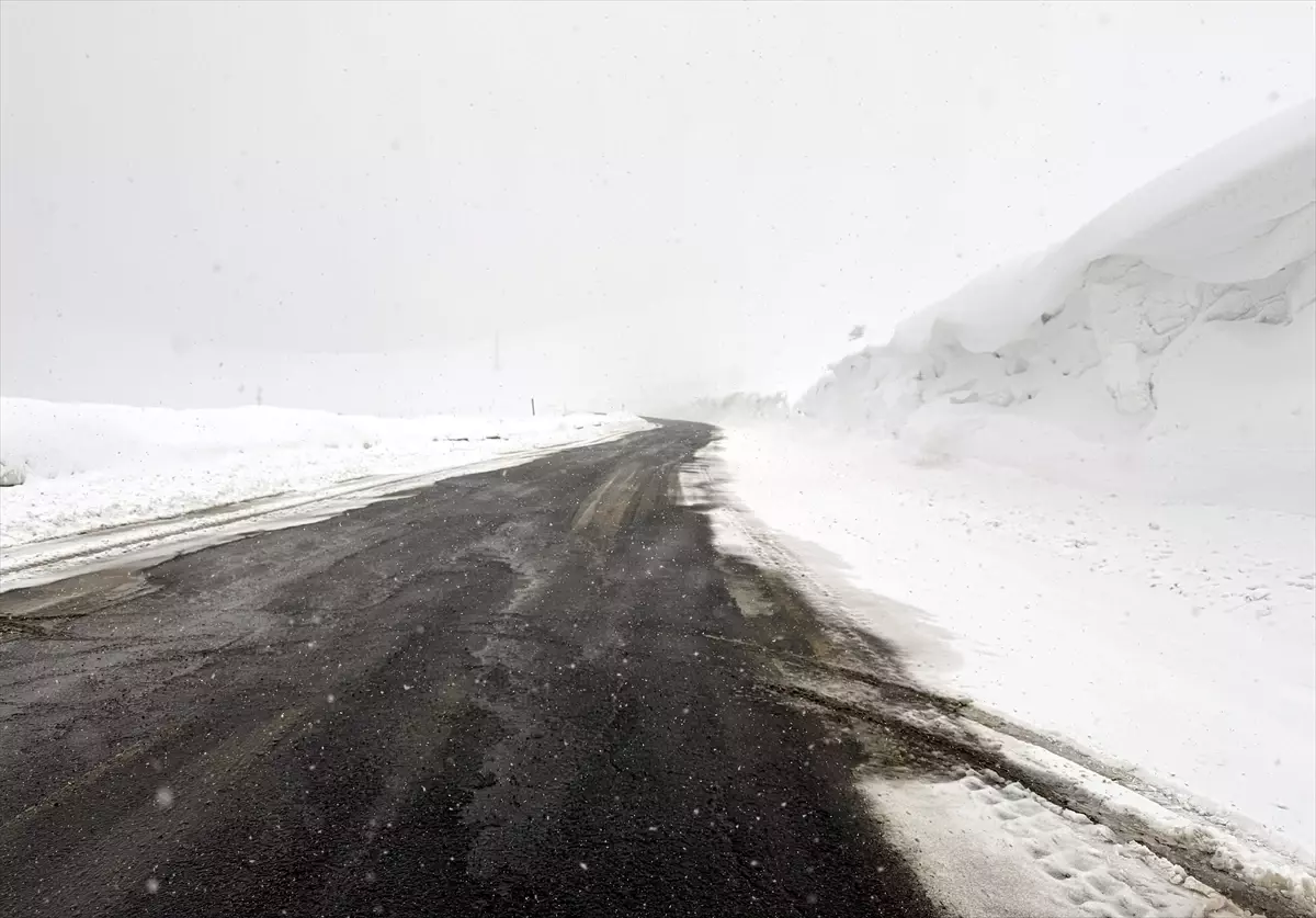 Ardahan ve Kars'ta Yoğun Kar, Ulaşımı Felçledi