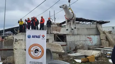 Proje Tanıtım Görseli