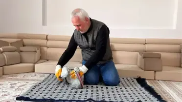 Buz içinde bulunan leylek