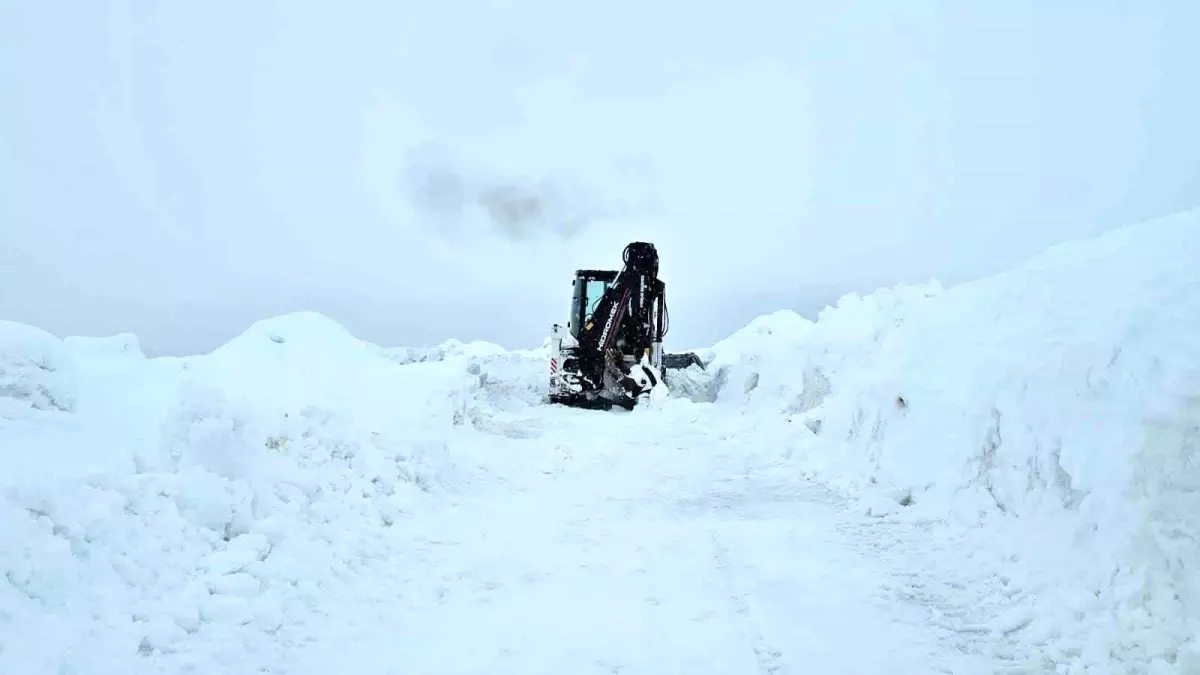 İzmirli Dağcılar, Süphan Dağı'nda Şiddetli Tipi ve Kar Nedeniyle Zirveye Ulaşamadı