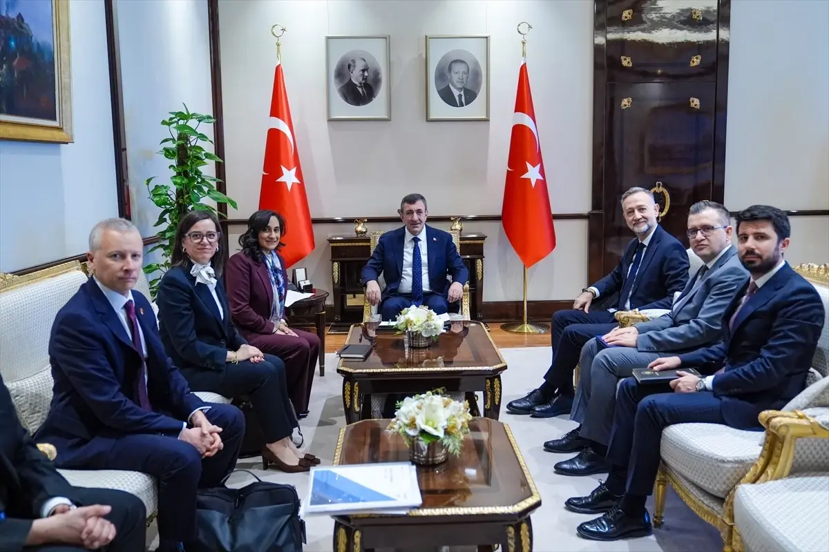 Yılmaz'dan Bölgesel Gerilimleri Azaltma Çabaları: Diplomasi Ön Planda