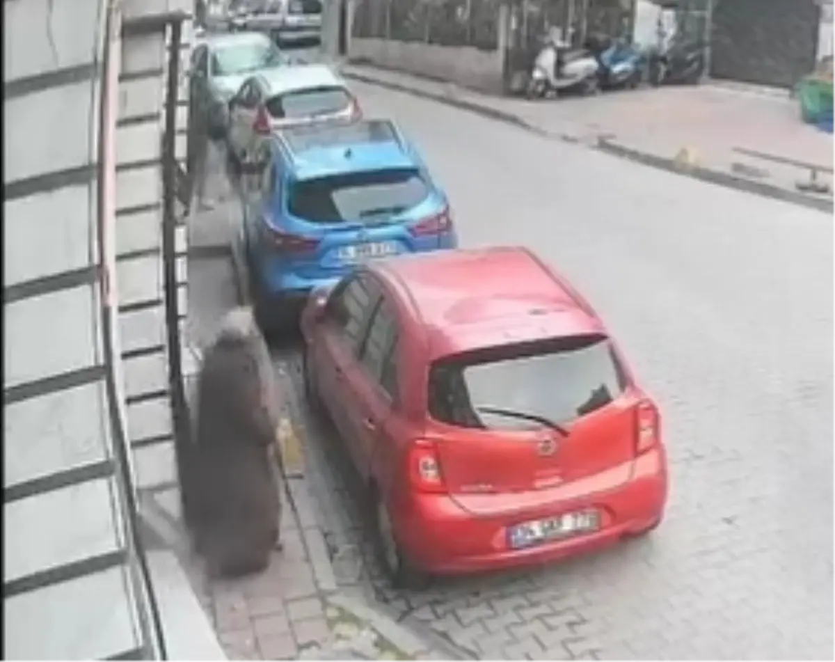 Fatih’te Telefon Kapkacı Yakalandı: Güvenlik Kameraları Suçluyu Belirledi