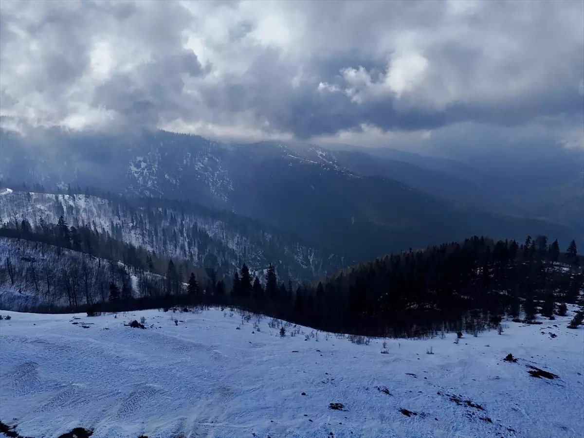 Kardüz Yaylası'nda Bembeyaz Kış Manzaraları Dronla Keşfedildi