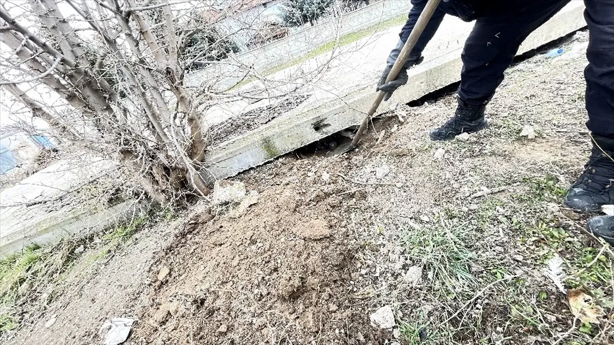 Şarkışla’da Beton Bloğun Altında Mahsur Kalan Köpek Kurtarıldı