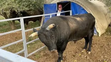 Mevlüt Bacaksız hastanede tedavi altında