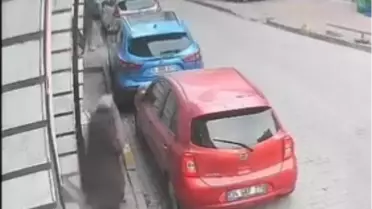 Güvenlik kamerası görüntüsü