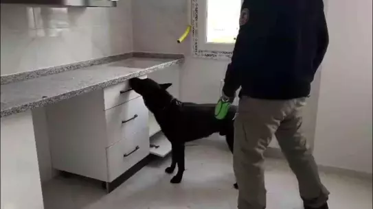 Ele geçirilen ecstasy hapları ve diğer uyuşturucu maddeler