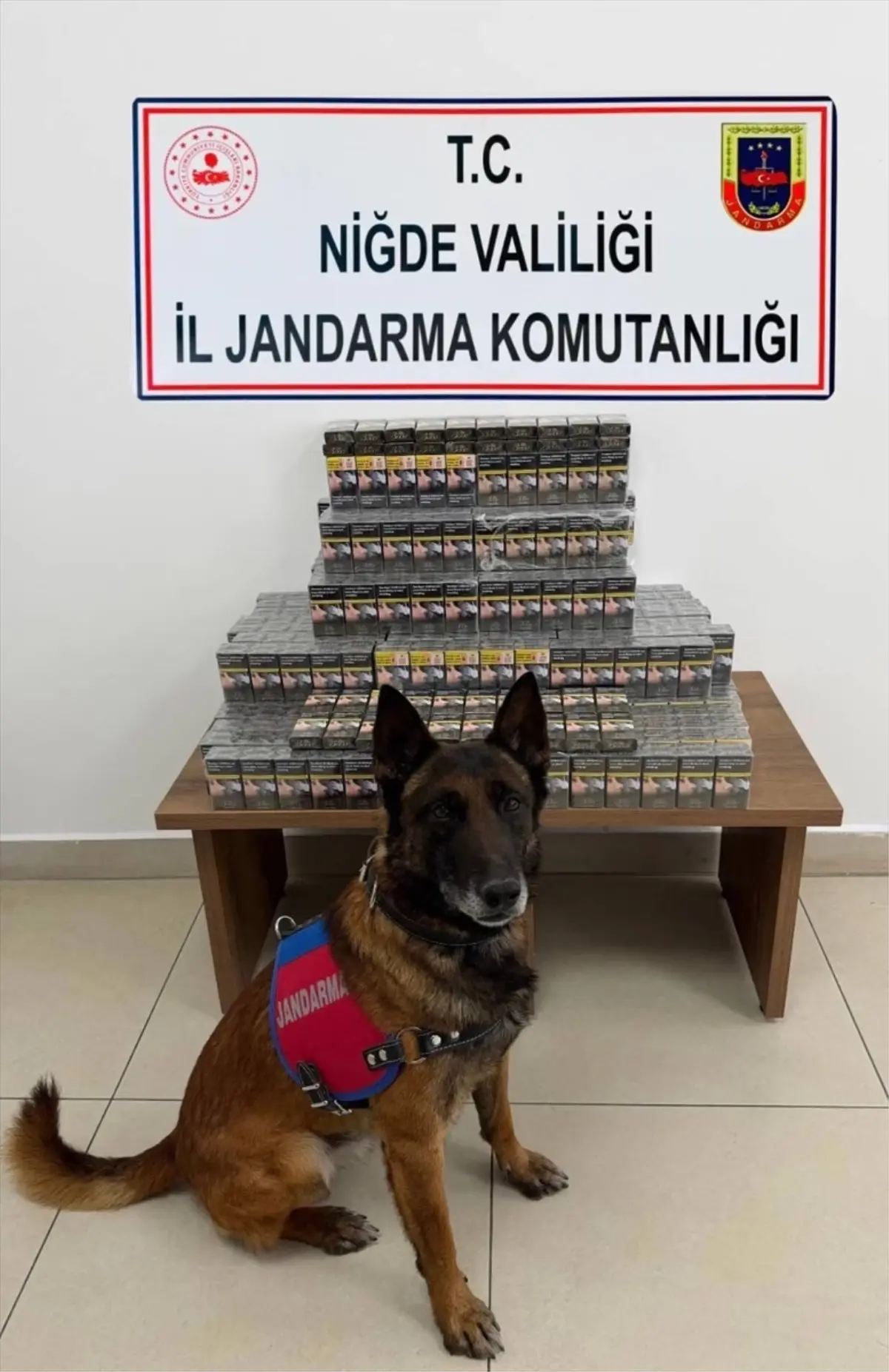 Niğde'de Kaçak Sigara Operasyonu: 800 Paket Ele Geçirildi, 1 Şüpheli Gözaltında