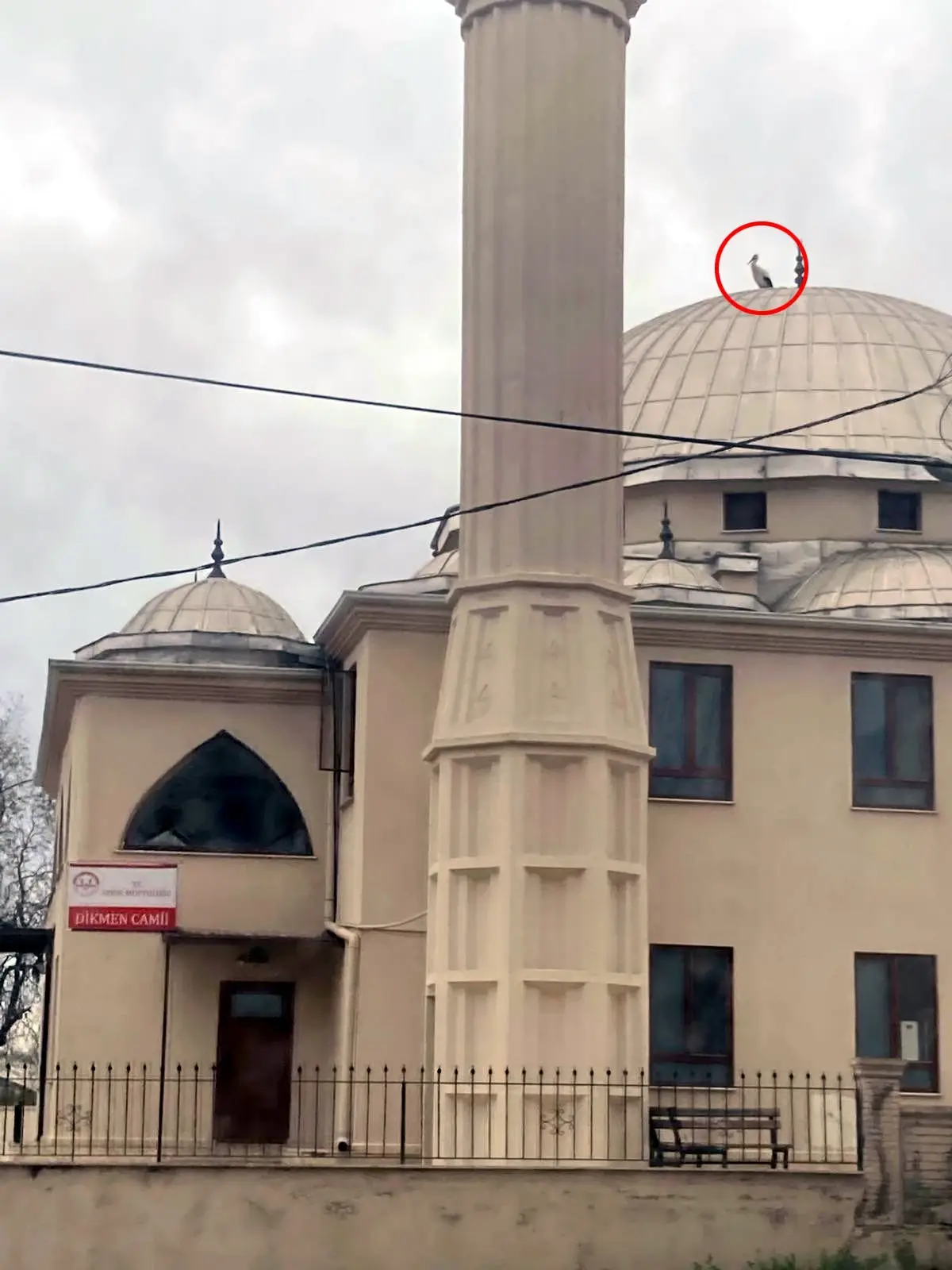 Serik’te Cami Kubbesindeki Leylek Yuvası Kaldırıldı, Gözlemciler Yeniden Yerleştirilmesini Talep Ediyor