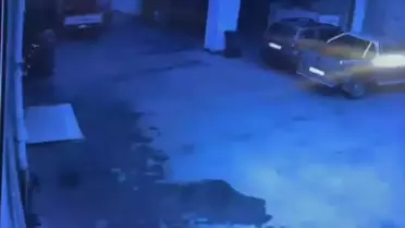 Kamerada yakalanan palet hırsızları