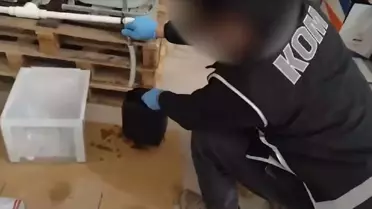 Operasyon alanı ve polis ekipleri