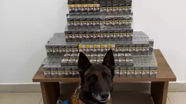 Operasyonda Ele Geçirilen Kaçak Sigara Paketleri