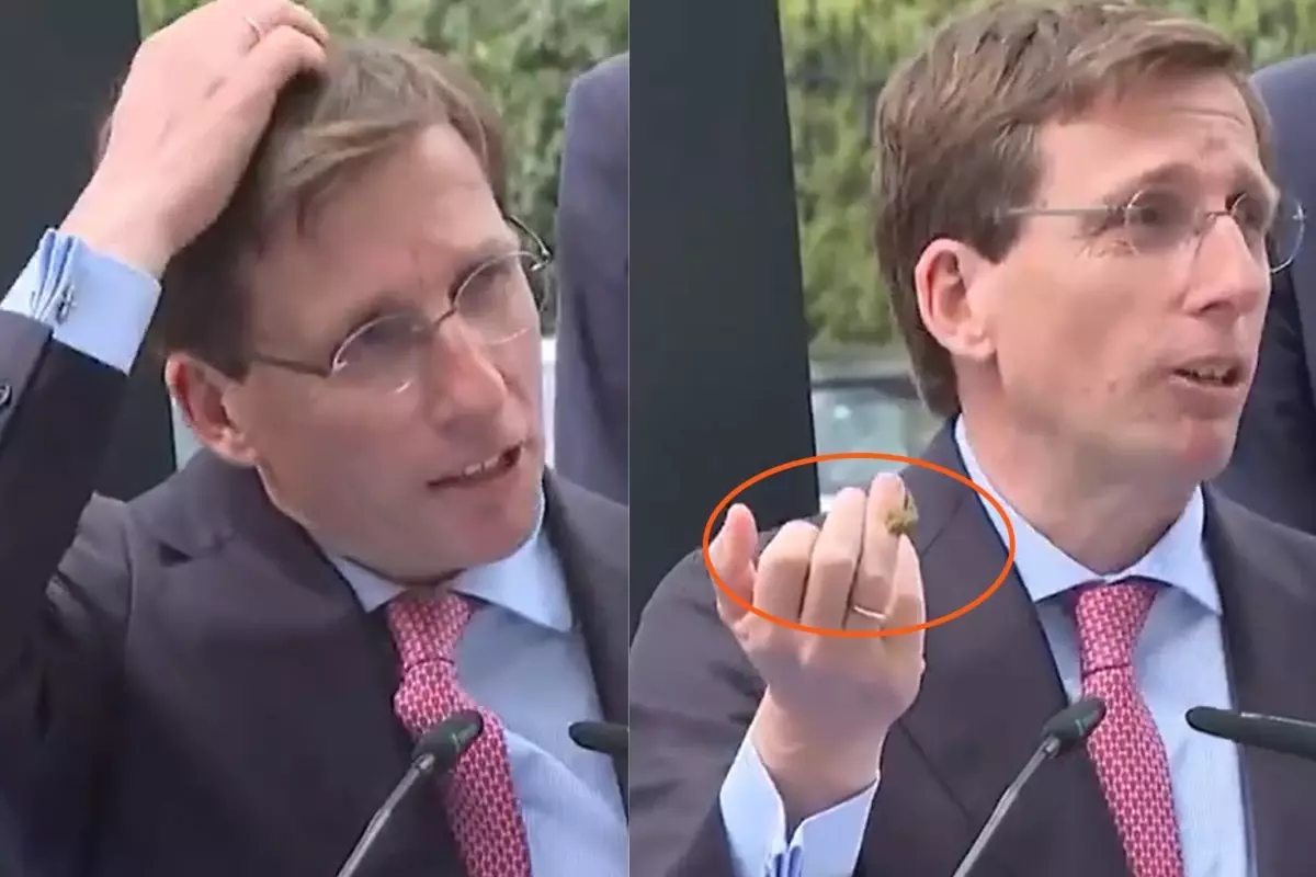 Madrid Belediye Başkanı’nın Açık Hava Konuşması Bir Güvercinle Kesildi