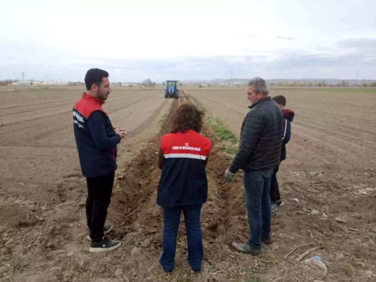 Afyonkarahisar’da Patates Ekimi 2026 Sezonu Resmen Başladı