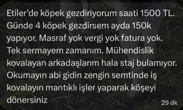 Köpek gezdiren kişi