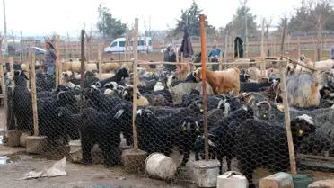 Bayram için hazırlanan et yemekleri