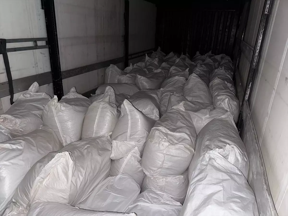 Adana’da 3,04 Ton Kaçak Tütün Kamyonla Ele Geçirildi