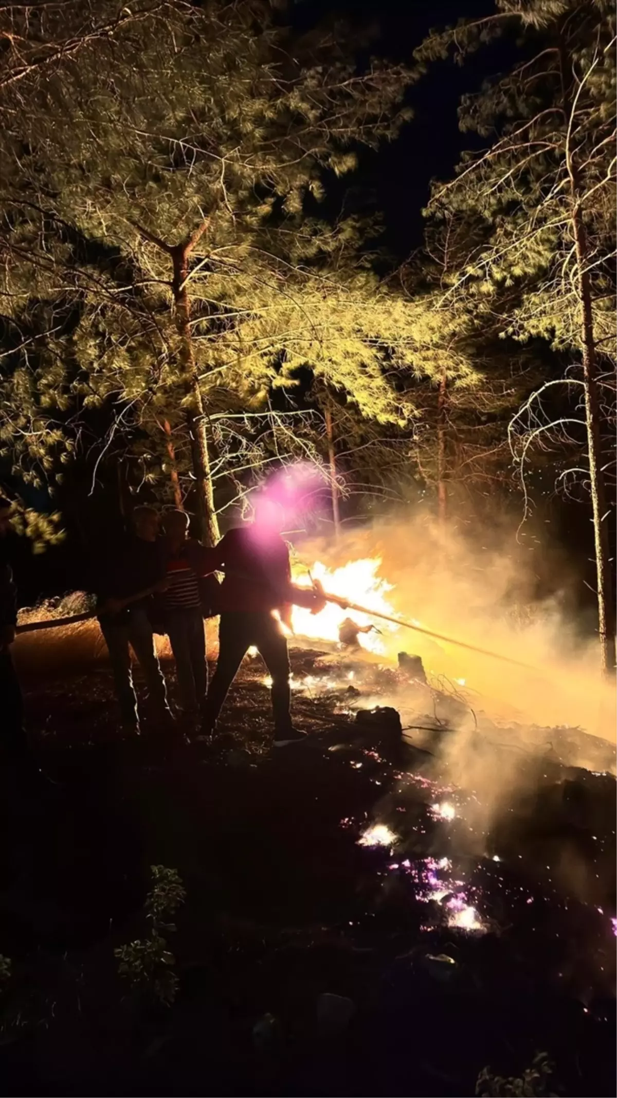 Hatay'ın Dörtyol İlçesinde Çıkan Orman Yangını Hızlı Müdahale ile Söndürüldü