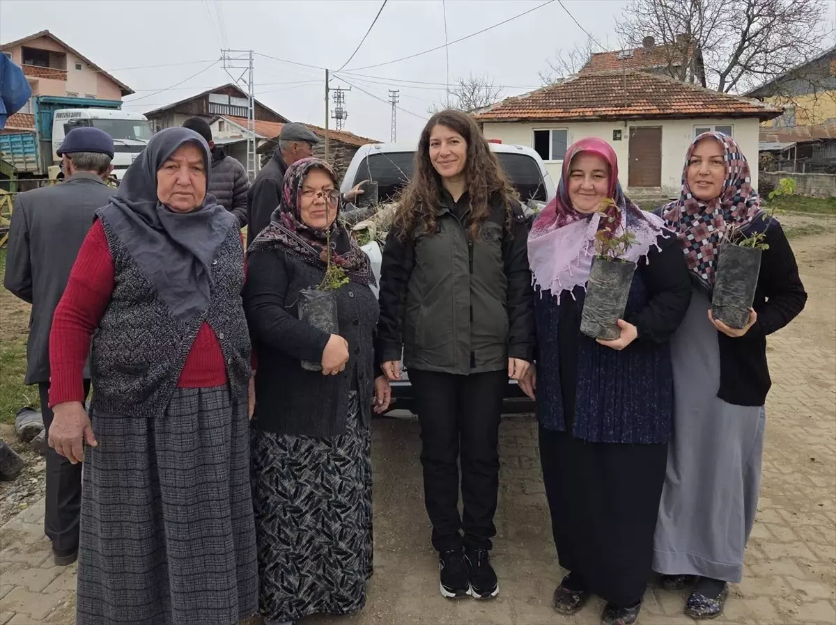 Eflani’da Arife Gününe Özel 2 Bin Gül ve Meyve Fidanı Dağıtıldı