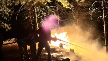 Yangın söndürülmüş alanın görüntüsü