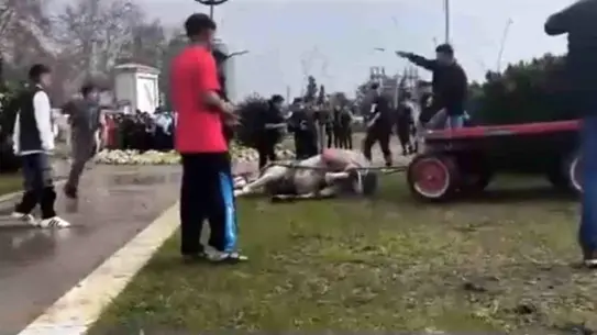 Adana’da Atına Şiddet Uygulayan Kişi Sosyal Medyada Eleştirildi