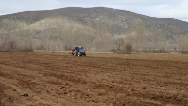 Tokat Sarımsağının Veriminde Yeni Dönem: TOGÜ'nün Destek Projeleri