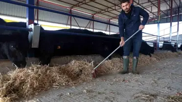 Hayvancılık çiftliği fotoğrafı