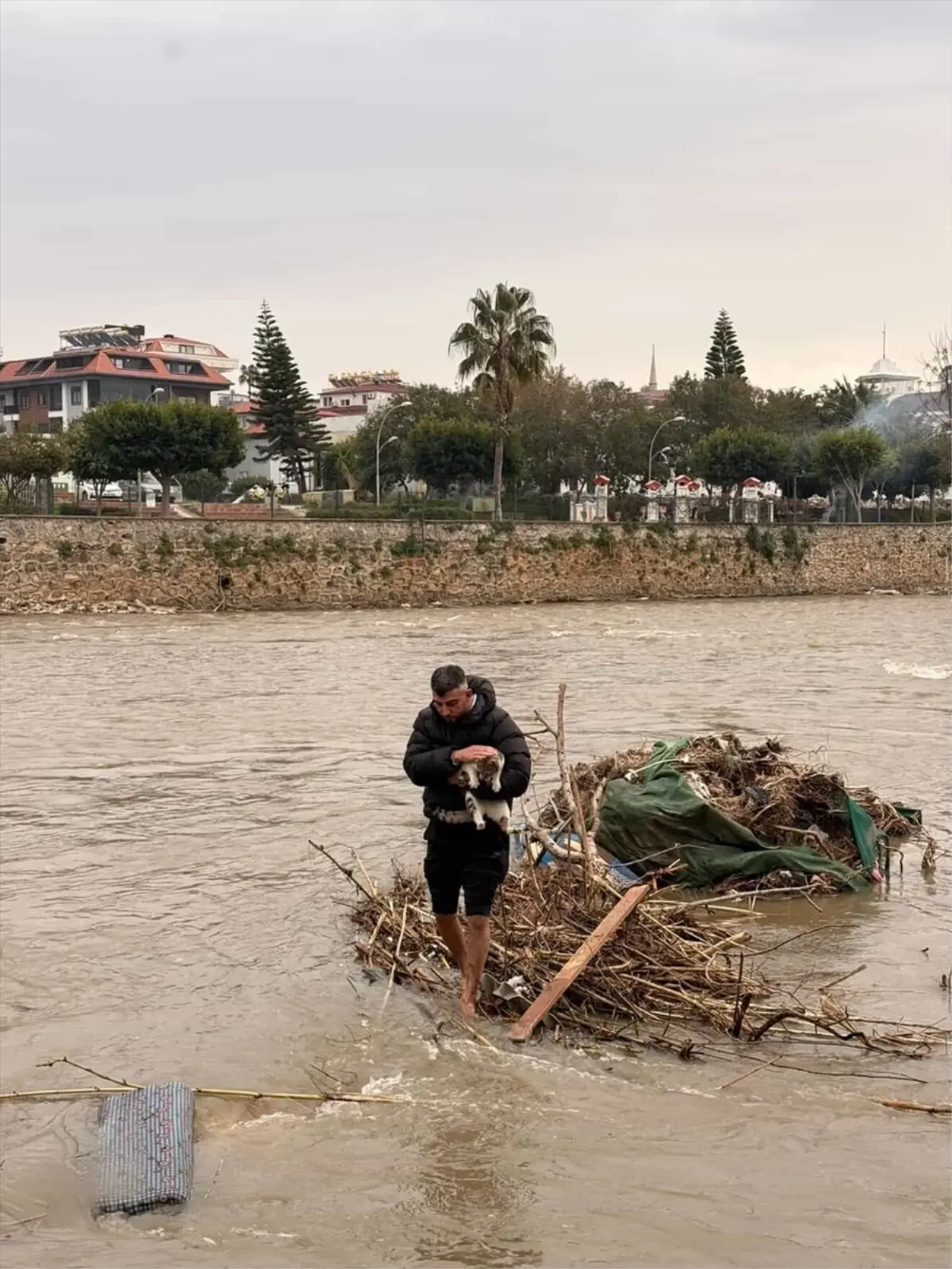 Alanya’da Yüksek Debili Çayda Mahsur Kalan Kedi Vatandaşın Yardımıyla Kurtarıldı