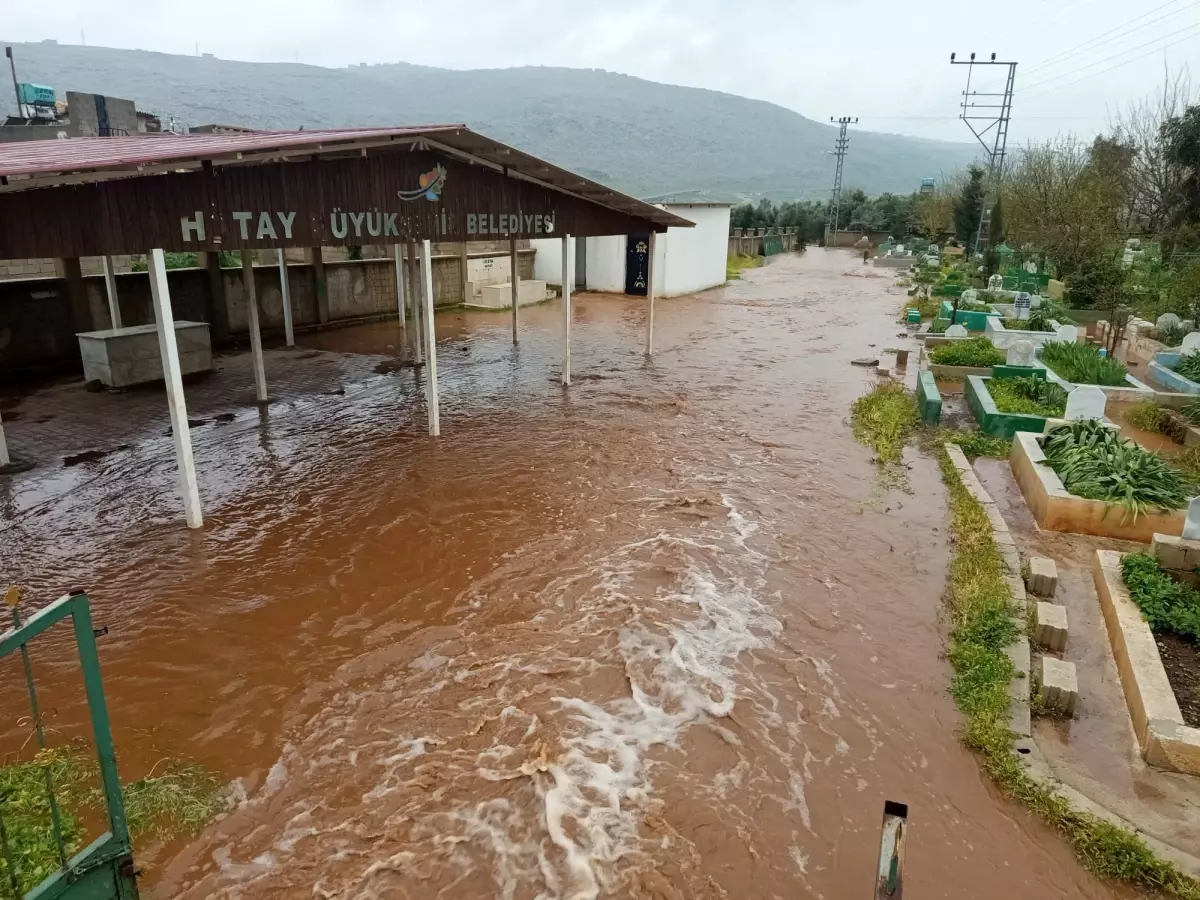 Reyhanlı’da Ani Sel Tehlikesi: Çoban Koyunları Zamanında Kurtardı