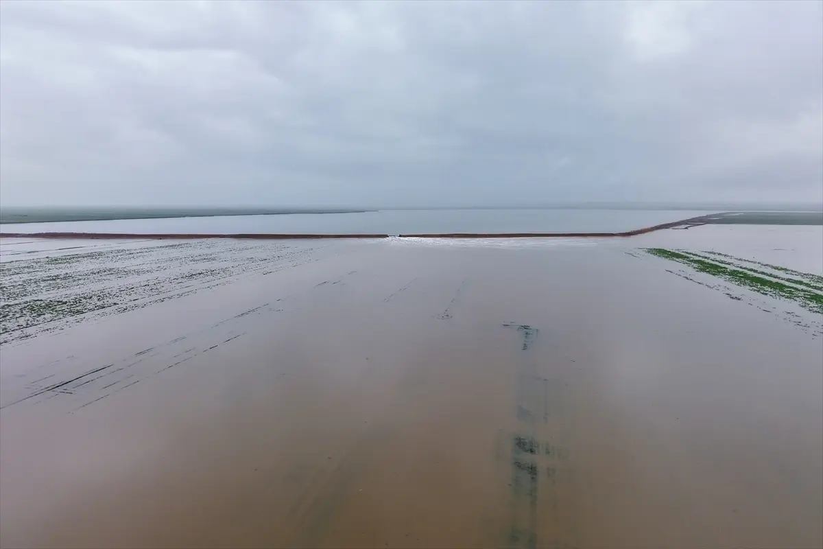 İdlib Cezray’da Şiddetli Yağış Sonrası Gölet Patladı, Tarım Alanları Sular Altına Battı