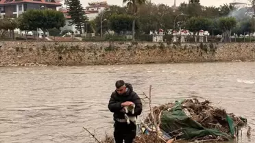 Kurtarılan kedinin fotoğrafı