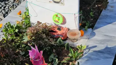 Bayramda Hatay Deprem Şehitliği'nde çiçekler