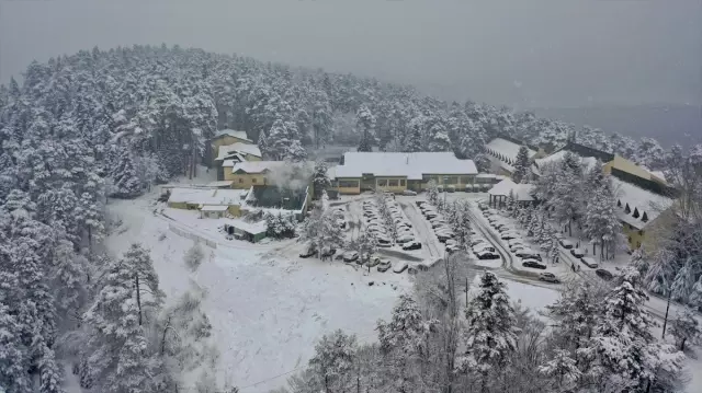 Karla kaplı ağaçlar arasında yürüyüş