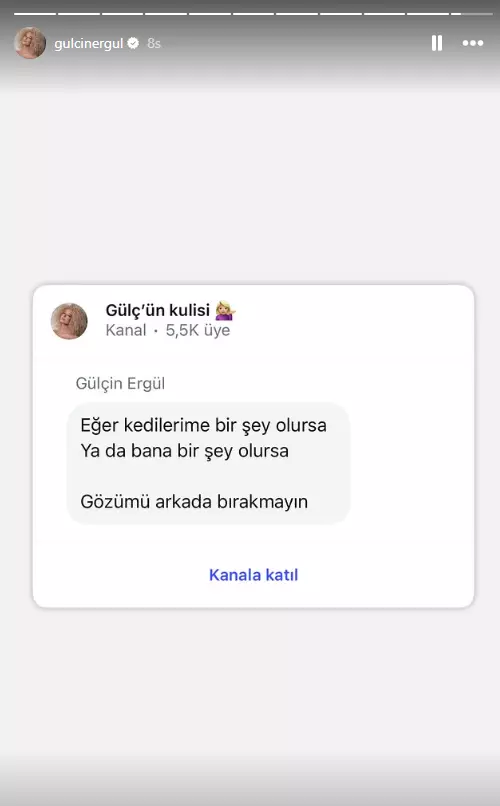 Gülçin Ergül'ün destek çağrısı