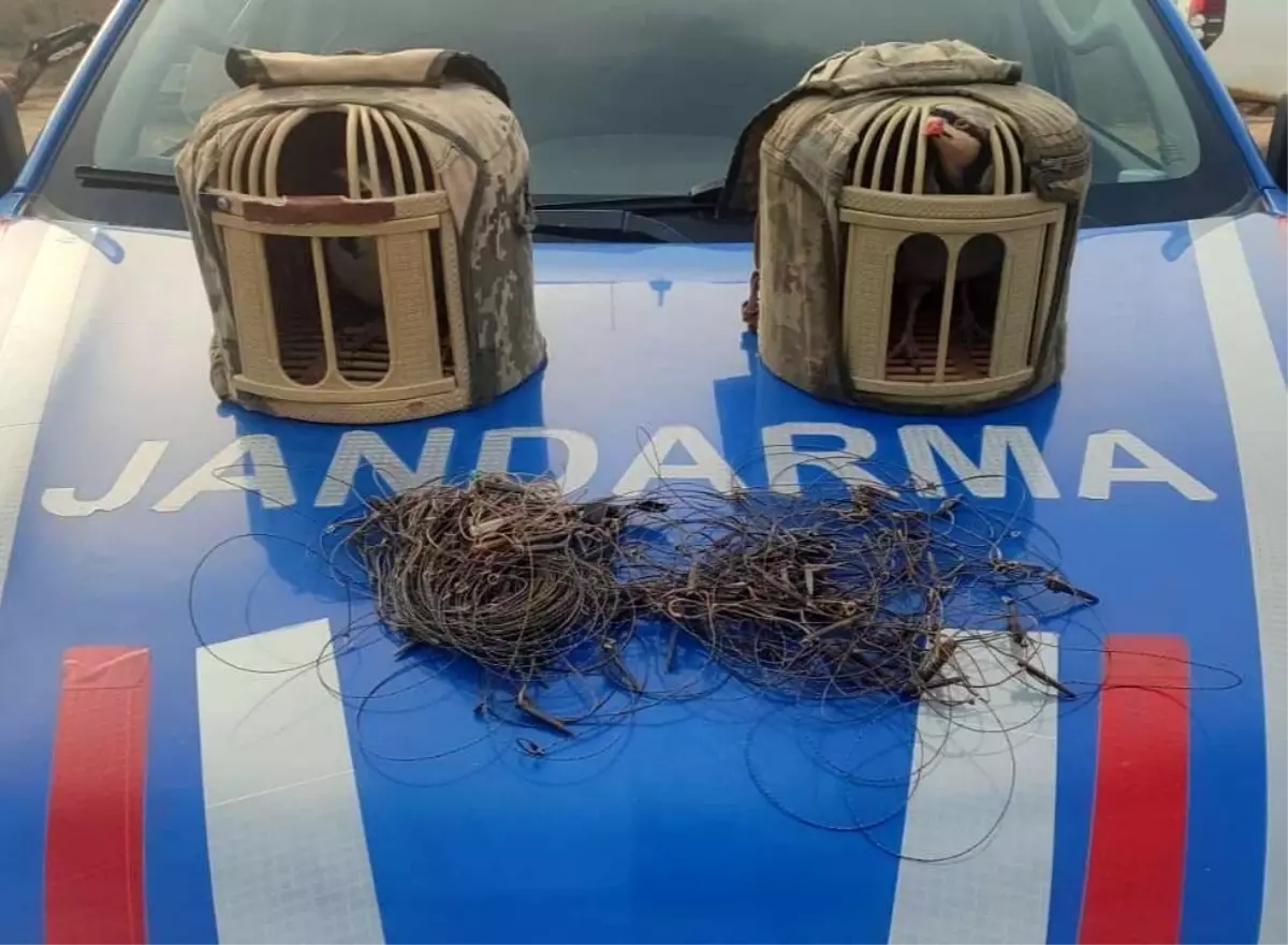 Kırşehir Jandarması Kaçak Keklik Avını Büyüttü: 2 Şüpheli Tutuklandı
