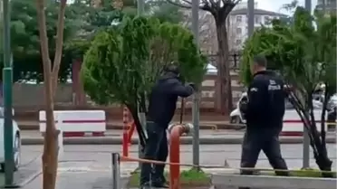 Adıyaman Hastanesinde Madde Etkisi Yaratıcı Hareketler Panik Yarattı