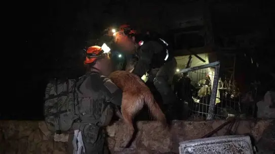 Dimona'ya yönelik füze saldırısı