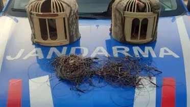 Jandarma ekipleri operasyon sırasında