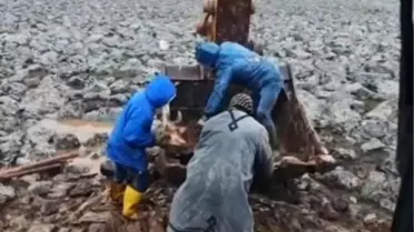 Kepçe ile inek çamurdan çıkarılıyor