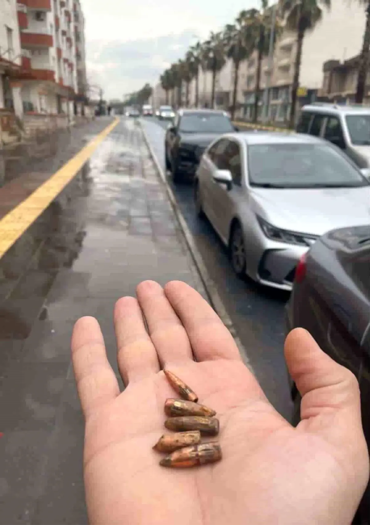 Kamışlı’da Nevruz Coşkusu: Yorgun Mermi Tehlikesi Nusaybin’e Sızdı