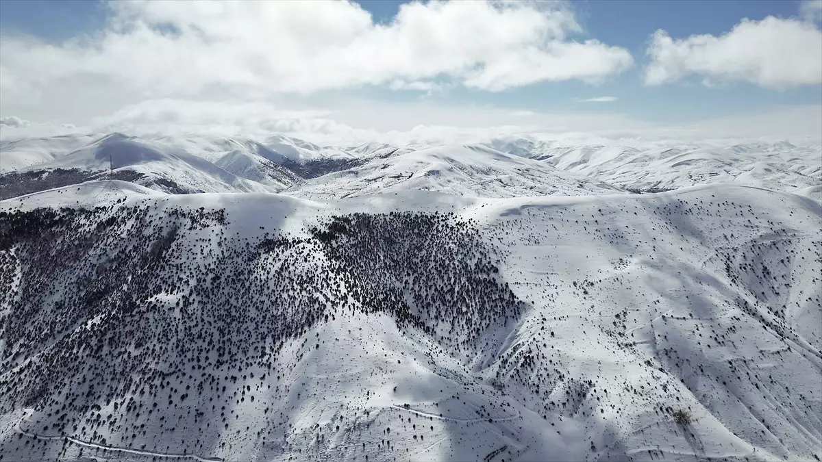 Bayburt'un Bembeyaz Zirvelerinde 2 Metrelik Kar Şaheseri