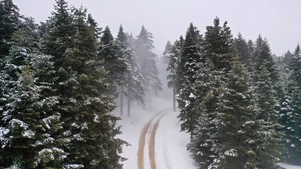 İlgili Dağda Sis Perdesi: Ilgaz’da Drone ile Büyüleyici Kış Görüntüleri