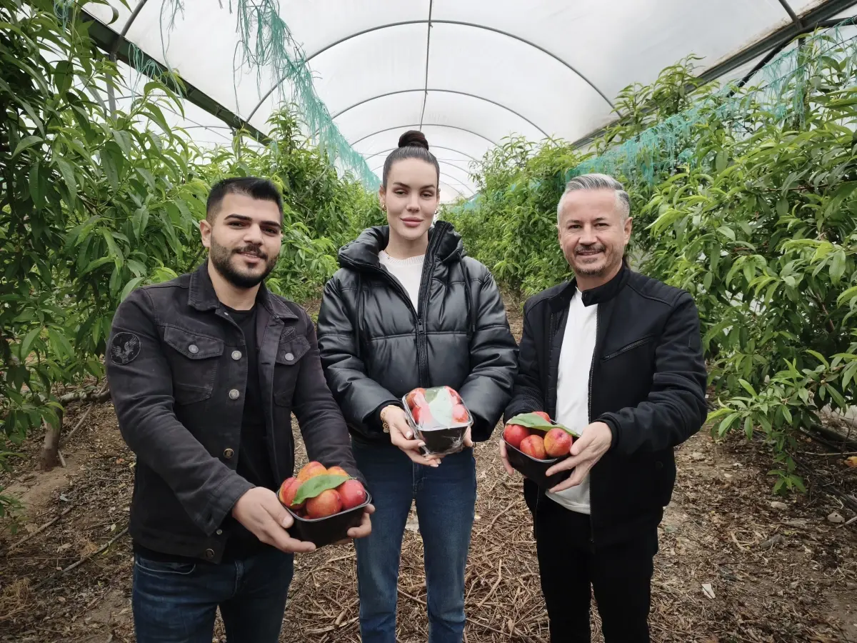 Mersin'de Erken Nektarin Hasadı Başladı: 500 TL/Kg Fiyatıyla Piyasa Şaşırtıyor