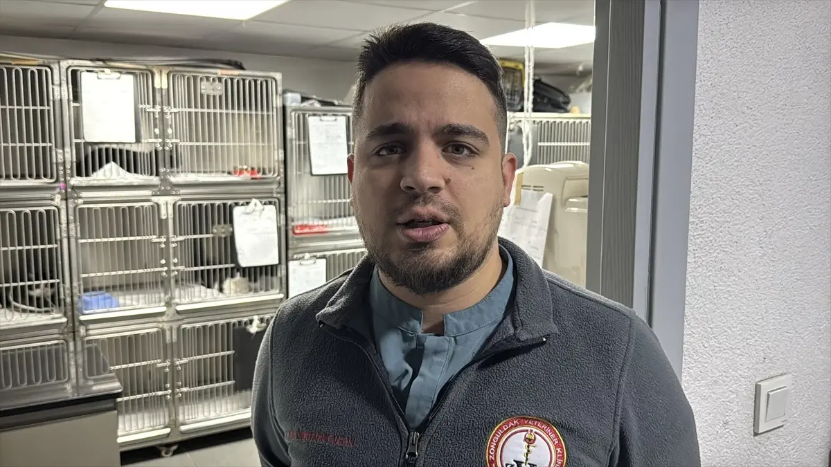 Zonguldak'ta 5 Yaşındaki Kedinin Midesinden Endoskopik Vakumlu Tutucu Çıkarıldı