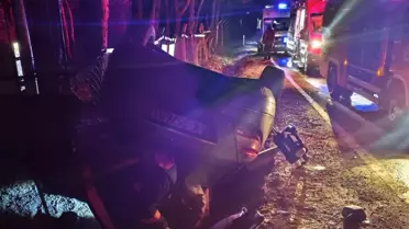 Kazın ana fotoğrafı