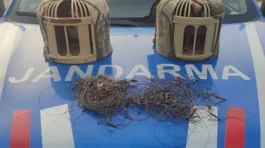 Operasyonda ele geçirilen av tuzakları