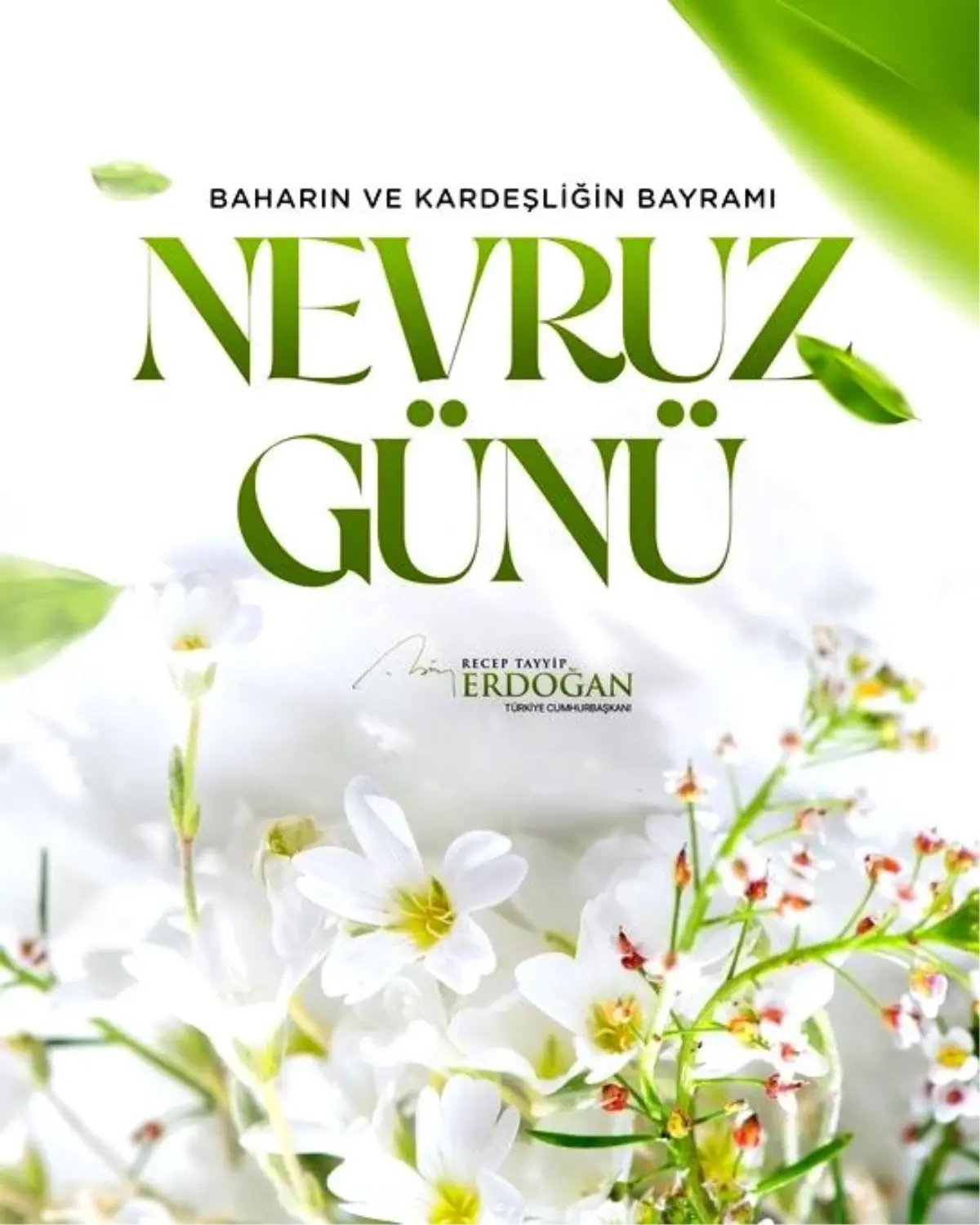 Cumhurbaşkanı Erdoğan'dan Nevruz Mesajı: Barış ve Dostluk Dilekleri