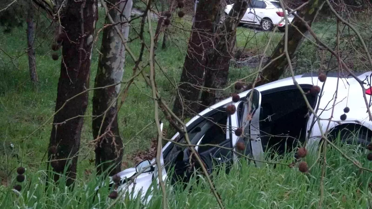 Pendik'te virajı kaçıran sürücünün çarptığı ağaç